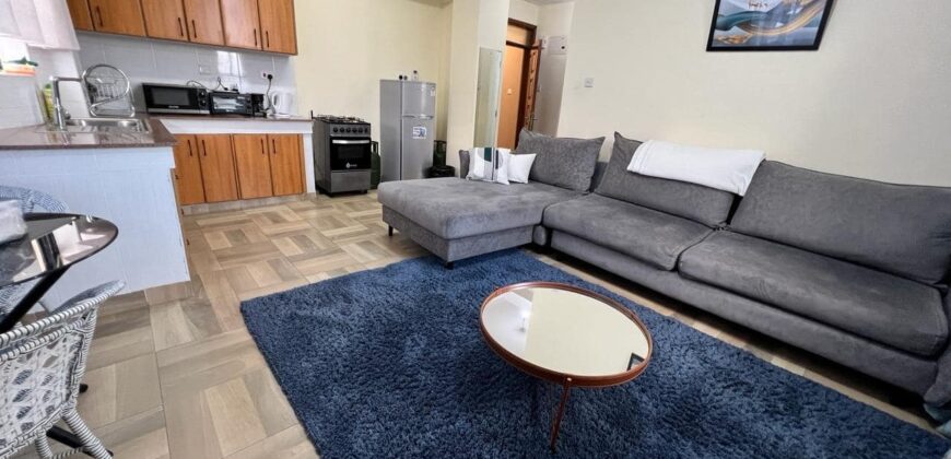 Ultra-Magnificent Fully Furnished 2 bedroom apartment in Nakuru town