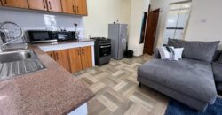 Ultra-Magnificent Fully Furnished 2 bedroom apartment in Nakuru town