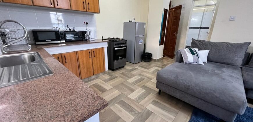 Ultra-Magnificent Fully Furnished 2 bedroom apartment in Nakuru town