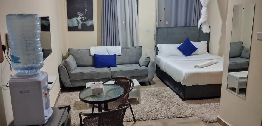 Ultra-Magnificent Fully Furnished 2 bedroom apartment in Nakuru town