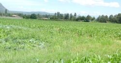 Prime 1-Acre Land for Sale in Bahati, Nakuru