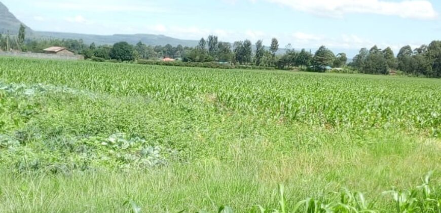 Prime 1-Acre Land for Sale in Bahati, Nakuru