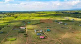 SERENE GARDENS 50* 100 PLOTS FOR SALE IN NAKURU