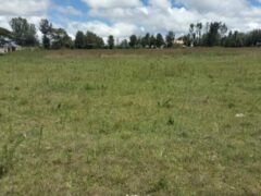 Prime 1/8 acre Plots for sale in Nakuru, Kiamunyi