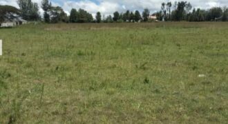 Prime 1/8 acre Plots for sale in Nakuru, Kiamunyi