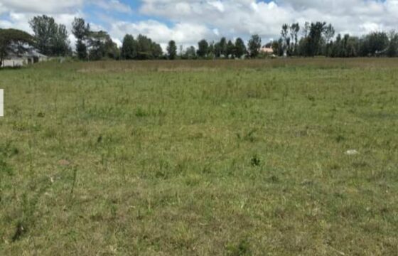 Prime 1/8 acre Plots for sale in Nakuru, Kiamunyi